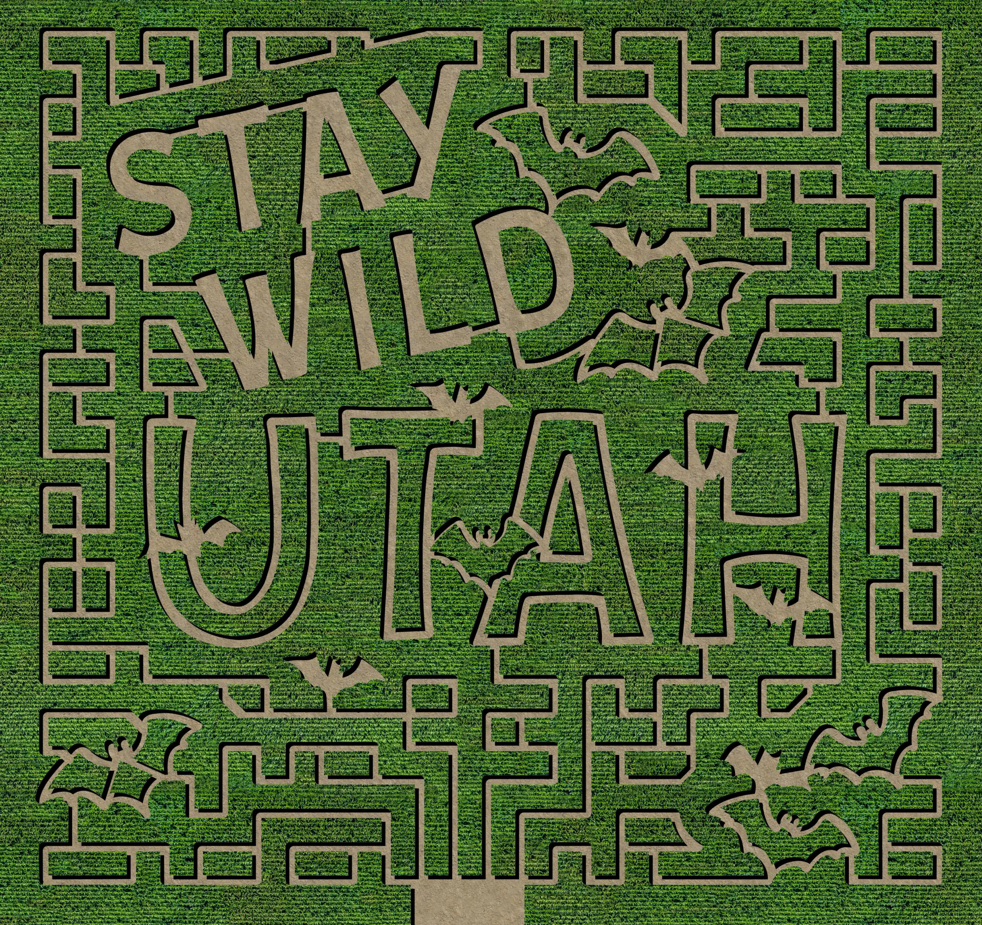 2026 Black Island Farms corn maze reading Stay Wild Utah with bat shapes